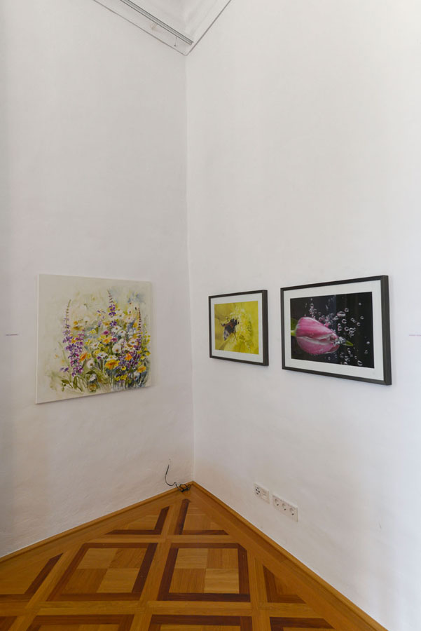 Lasst Blumen sprechen